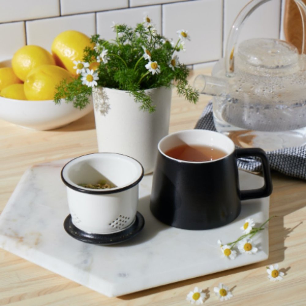 Modern Sprout/Anthropologie Tea Mug Gift Set - NEW